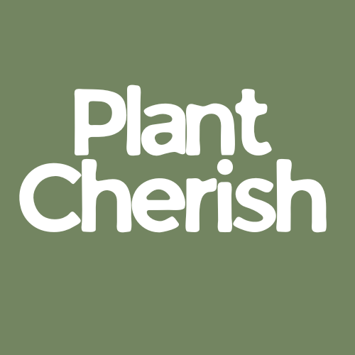 Plant Cherish